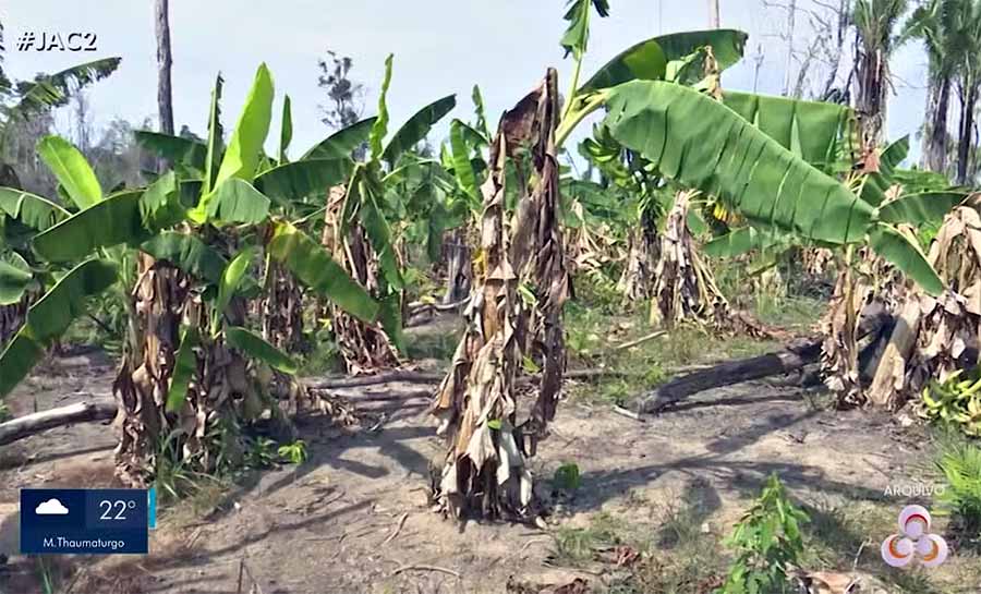 Com estimativa de 3ª pior seca, Defesa Civil entrega mantimentos a moradores da zona rural de Rio Branco