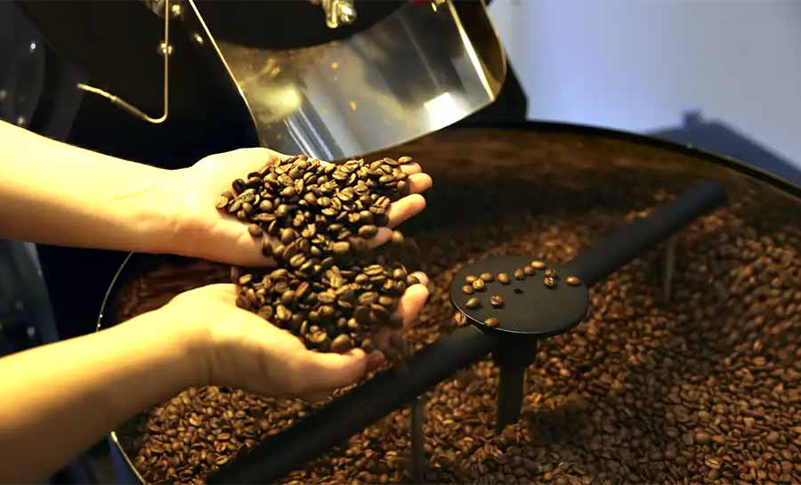Preço do café cai pela primeira vez depois de 18 meses, diz IBGE
