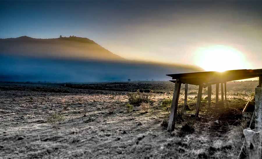 Governo abre crédito de R$ 12 bilhões para produtores rurais