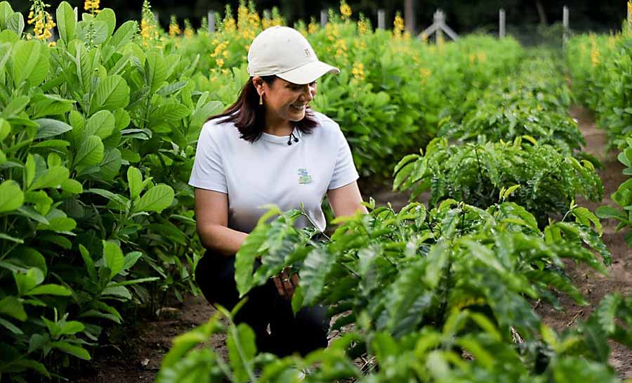 Vice-governadora Mailza visita AgriZone na COP30 e conhece iniciativas de agricultura sustentável e inovação tecnológica da Embrapa