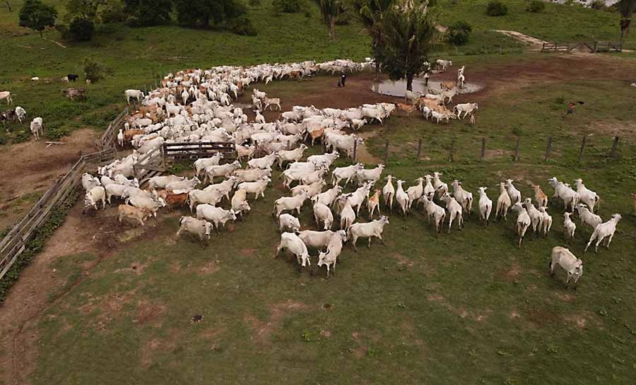 Seplan lança nova publicação que analisa os dados de exportação e importação do estado