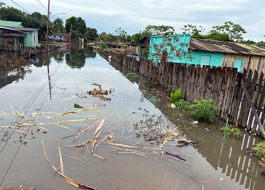 rio branco web